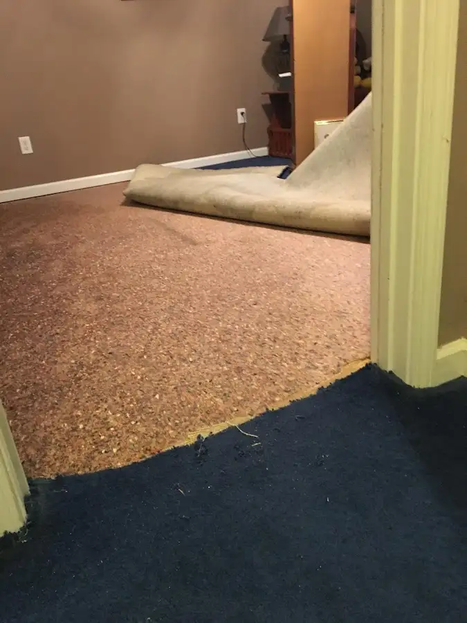 Carpet pad removal revealing water damage during Drying & Dehumidification in Belle Glade